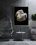 Load image into Gallery viewer, Volute - A Bohemia Life
