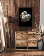 Load image into Gallery viewer, Volute - A Bohemia Life
