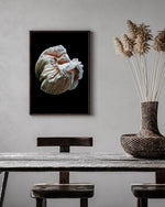 Load image into Gallery viewer, Volute - A Bohemia Life
