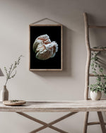 Load image into Gallery viewer, Volute - A Bohemia Life
