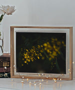 Load image into Gallery viewer, &quot;Yellow Star&quot; (8&quot; x 10&quot; Fine Art Giclée Print) - A Bohemia Life

